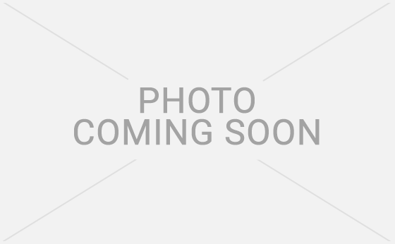 Slack Adjusters : TSE07115S